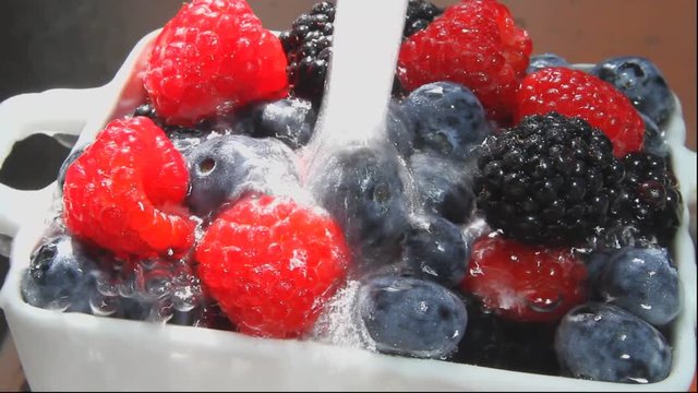 Lamponi, More, Mirtilli, Frutti di Bosco,Raspberries, Blackberries, Blueberries, Berries