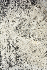 abstract Textured Grey Concrete background