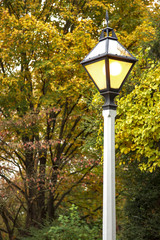 Fall Street Lamp