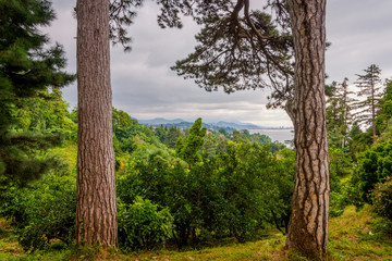 View over Batumi, Georgia