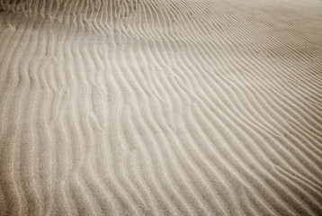 Fototapeta na wymiar sand and wind pattern 