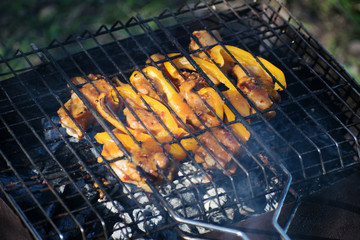 Pieces of meat shish kebab with vegetables are prepared in the grill