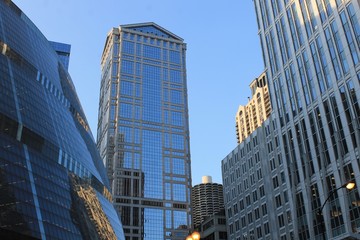 Chicago Views