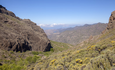 Fototapeta premium Gran Canaria, May