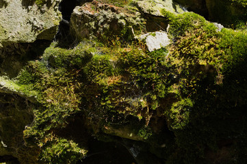 Old stone brick walls of natural stone with moss dust cobweb and mud textured background