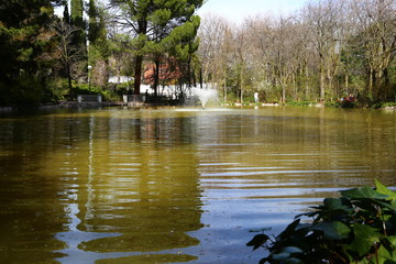 Lago