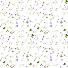 Creative flat layout of wildflowers, composition top view.