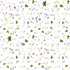 Creative flat layout of wildflowers, composition top view.