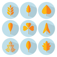 Autumn leaf flat icon set. Vector collection. Tree leaves. Eco orange logo sign. September, October