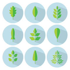 Green leaf flat icon set. Spring vector collection. Tree leaves. Eco logo sign