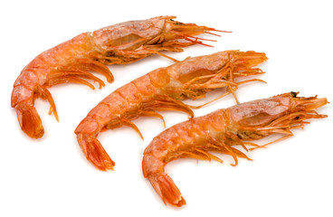 raw shrimp isolated on white background