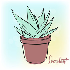 Succulent vector lineart illustration with hand drawn lettering