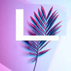 tropical leaf. background gradient. view from above
