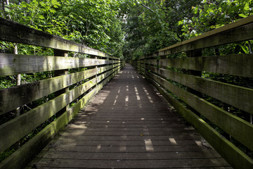 Obraz premium Boardwalk