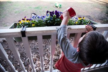 Young Boy Watering Flowers