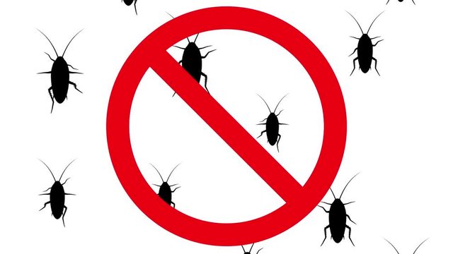 Cockroaches in prohibition sign. Black silhouettes of pests creep up on white background. Seamless loop 3D animation.