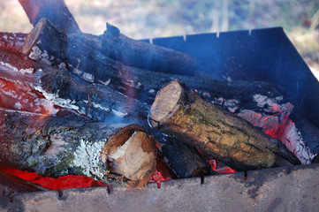Fire burns in the grill in nature.
