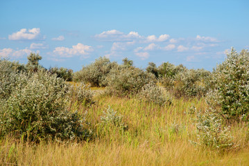 Fototapeta premium Panorama wild, sea beach in the National reserve island