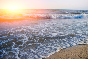 a wild beach and a pigeon sea water on a lovely sunny day