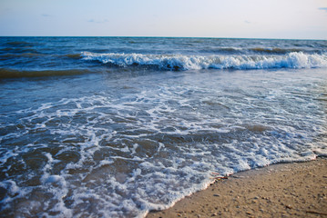 a wild beach and a pigeon sea water on a lovely sunny day
