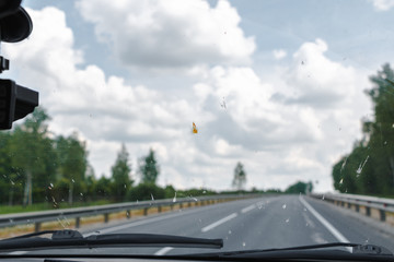 Death insects on the windshield of the car. Flattened beetles on the surface of the glass.