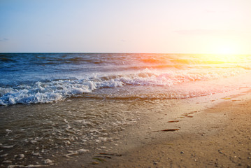 a wild beach and a pigeon sea water on a lovely sunny day