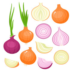 Vector set of cartoon red, yellow onion isolated on white - 207811802