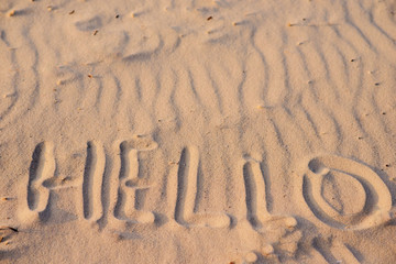 hello on the sand, on a wonderful sunny day