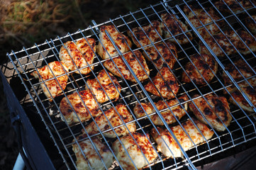 Chicken meat is grilled on the nature.
