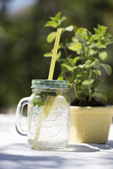 Summer refreshing drinks, mojito or lemonade with fresh mint, slices of lemon, ice