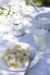 Traditional russian ukrainian cottage cheese 