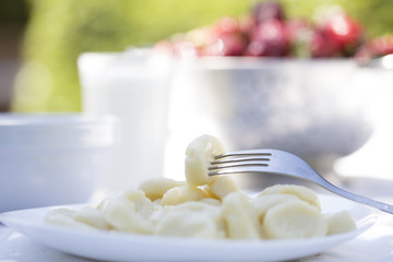 Traditional russian ukrainian cottage cheese 