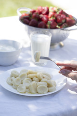 Traditional russian ukrainian cottage cheese 