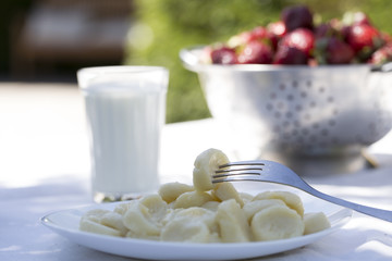Traditional russian ukrainian cottage cheese 