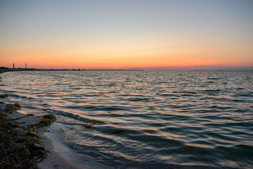 a wild beach and a pigeon sea water on a lovely sunny day