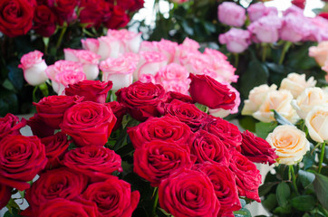 Beautiful fresh blossoming flowers texture at the florist shop in ombre color from magenta pink to pastel pink