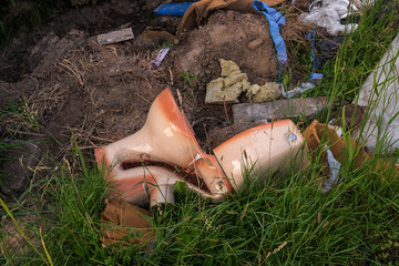 environmental pollution in the countryside.