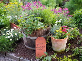 Kräutergarten - Blumen und Gewürze laden zum riechen und schmecken ein