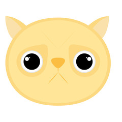 Isolated cute cat avatar