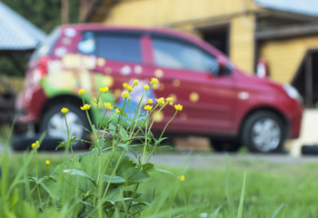 веселый автомобиль 