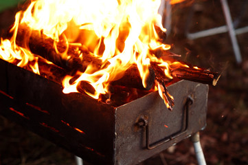 Fire burns in the grill in nature.
