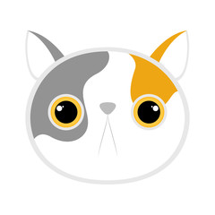 Isolated cute cat avatar