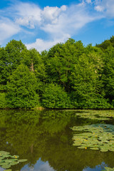 Lake reflection