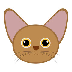Isolated cute cat avatar