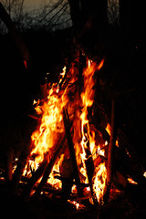 Fototapeta na wymiar A large bonfire in the dark at night in the forest. 