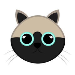 Isolated cute cat avatar