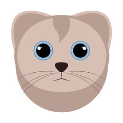 Isolated cute cat avatar