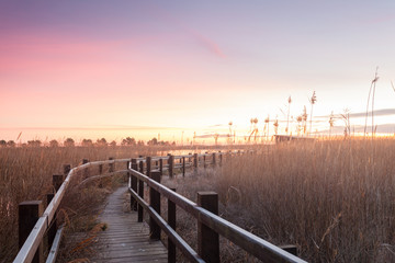 Holzsteg zu einer Beobachtungshütte für Vogelbeobachtung im Ebro Delta nahe Barcelona am Morgen...