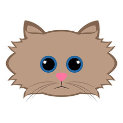 Isolated cute cat avatar