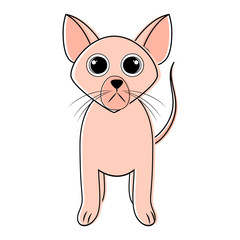 Obraz premium Cute cat icon sketch